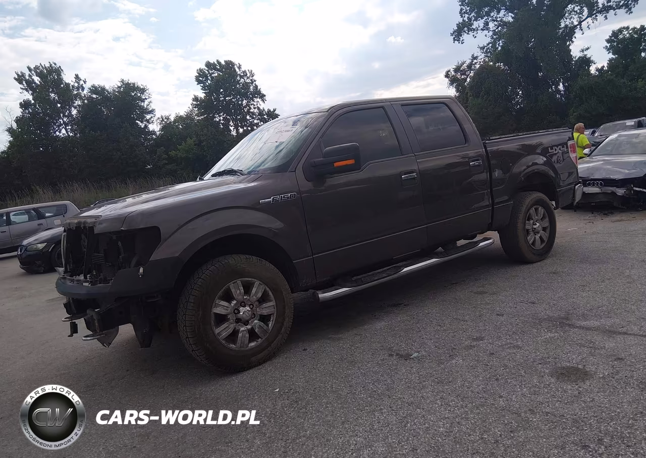 2009 Ford F-150 Fx4-King Ranch-Lariat-Platinum-Xl-Xlt VIN:1FTPW14V69KC26425 - 2