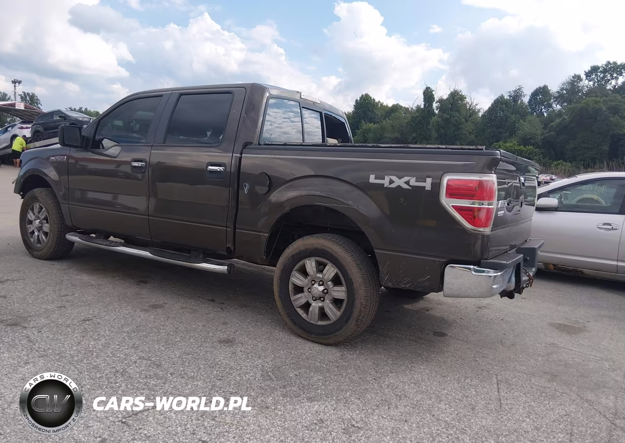 2009 Ford F-150 Fx4-King Ranch-Lariat-Platinum-Xl-Xlt VIN:1FTPW14V69KC26425 - 3
