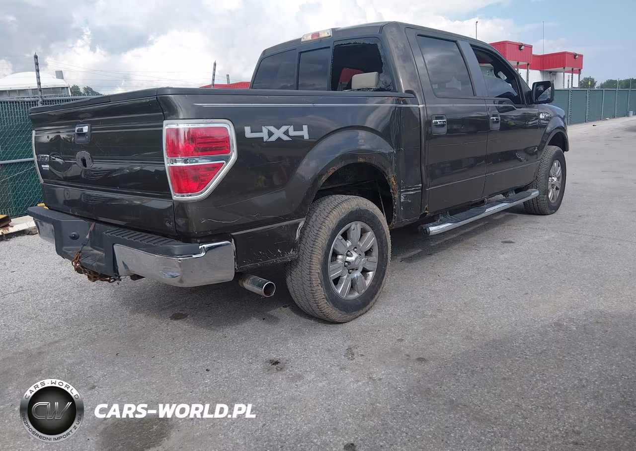 2009 Ford F-150 Fx4-King Ranch-Lariat-Platinum-Xl-Xlt VIN:1FTPW14V69KC26425 - 4