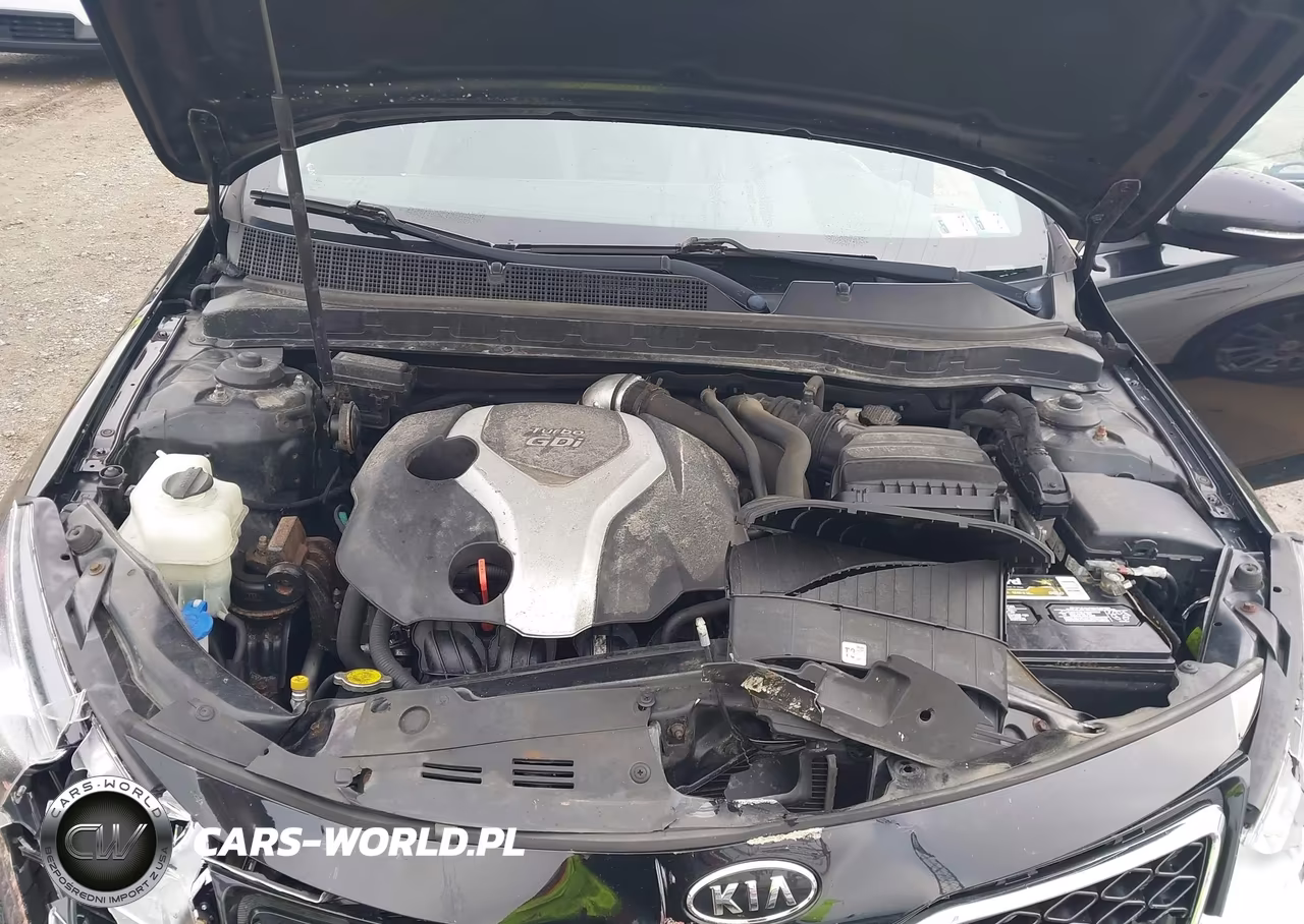 2011 Kia Optima Sx VIN:KNAGR4A6XB5115738 - 10
