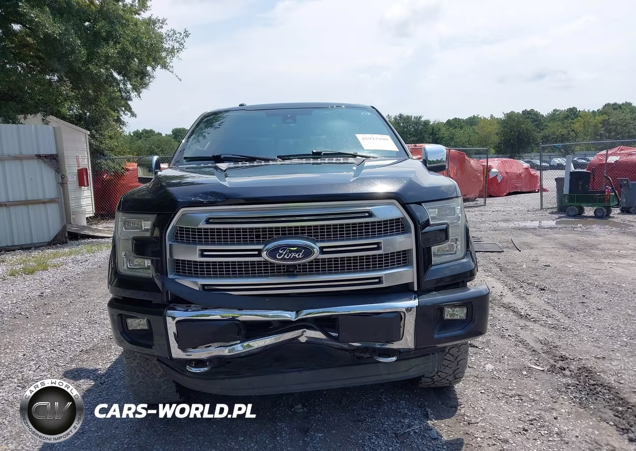 2015 Ford F-150 Platinum VIN:1FTEW1EG5FFA47983 - 12