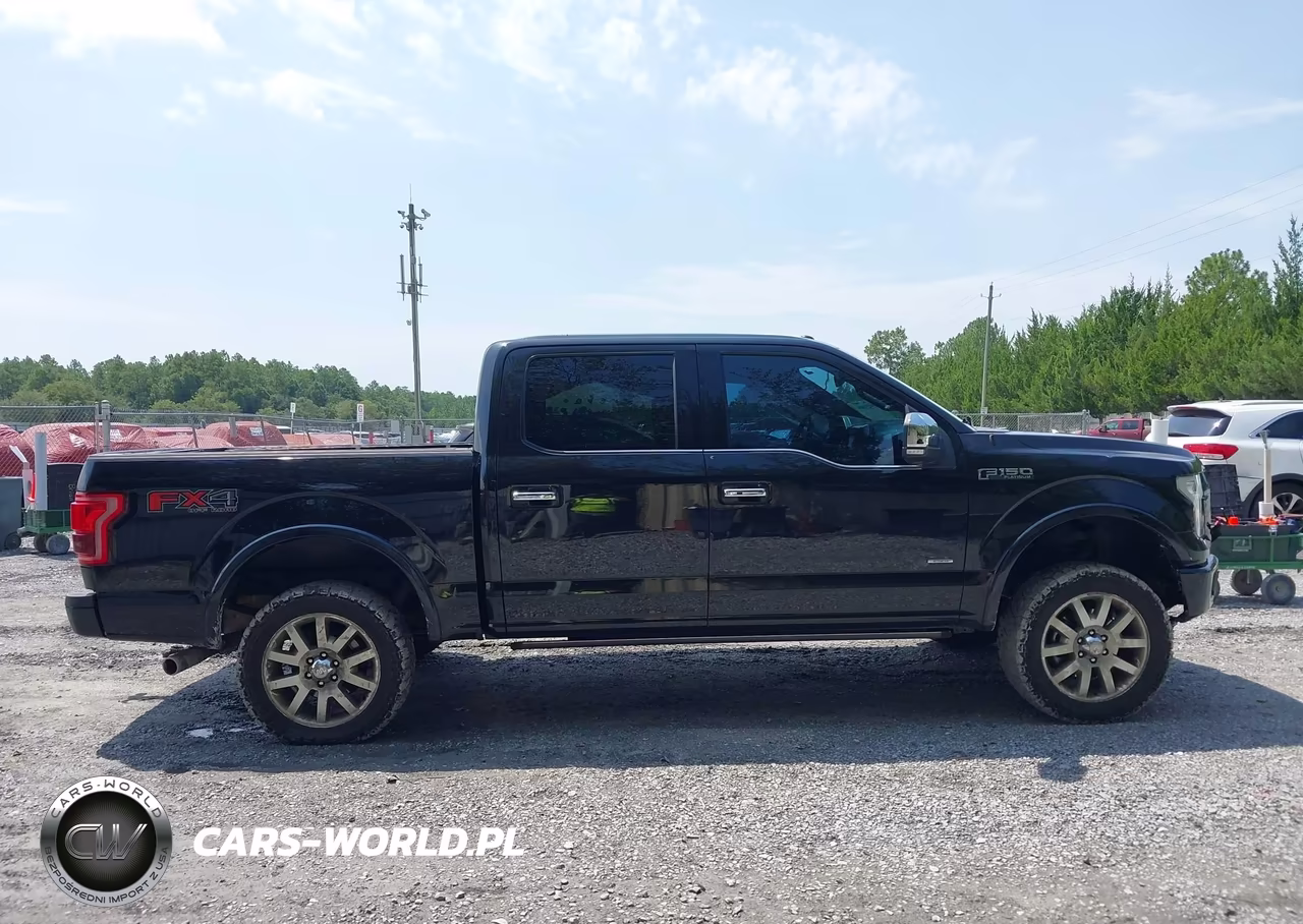 2015 Ford F-150 Platinum VIN:1FTEW1EG5FFA47983 - 13