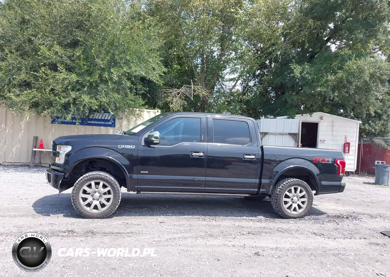2015 Ford F-150 Platinum VIN:1FTEW1EG5FFA47983 - 14