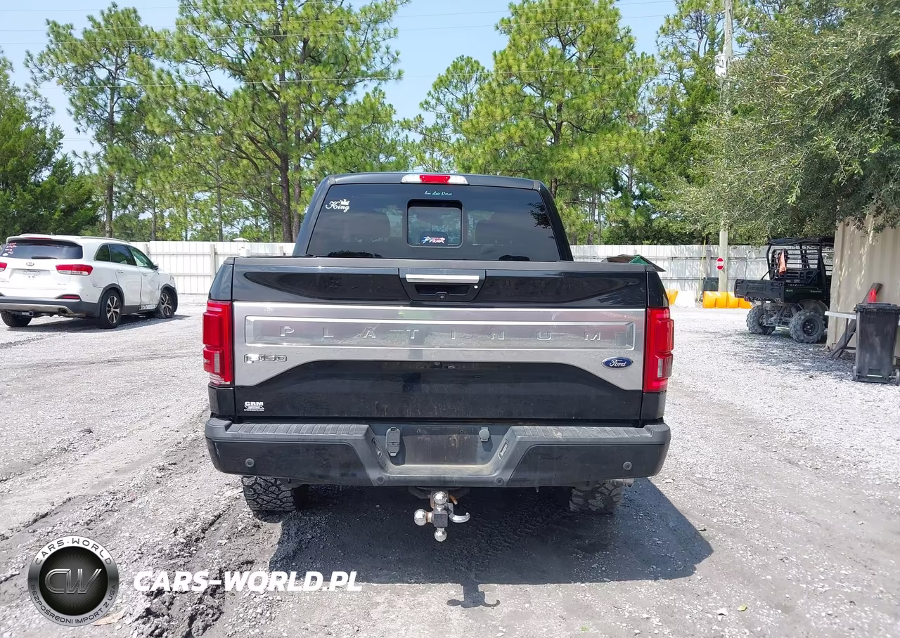 2015 Ford F-150 Platinum VIN:1FTEW1EG5FFA47983 - 16