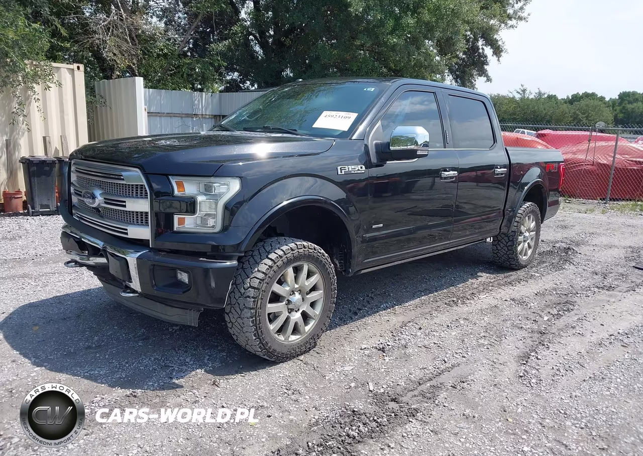 2015 Ford F-150 Platinum VIN:1FTEW1EG5FFA47983 - 2