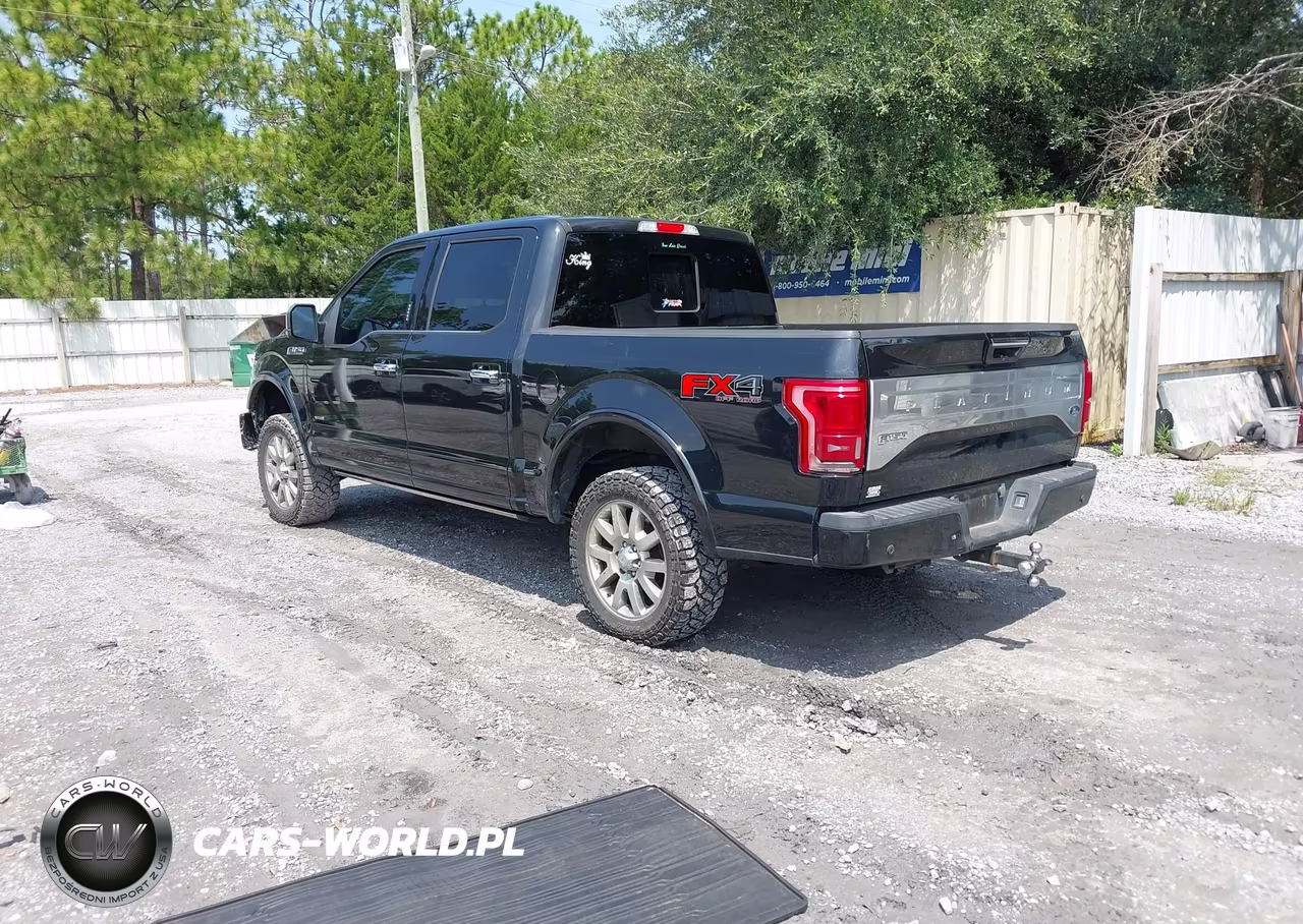 2015 Ford F-150 Platinum VIN:1FTEW1EG5FFA47983 - 3