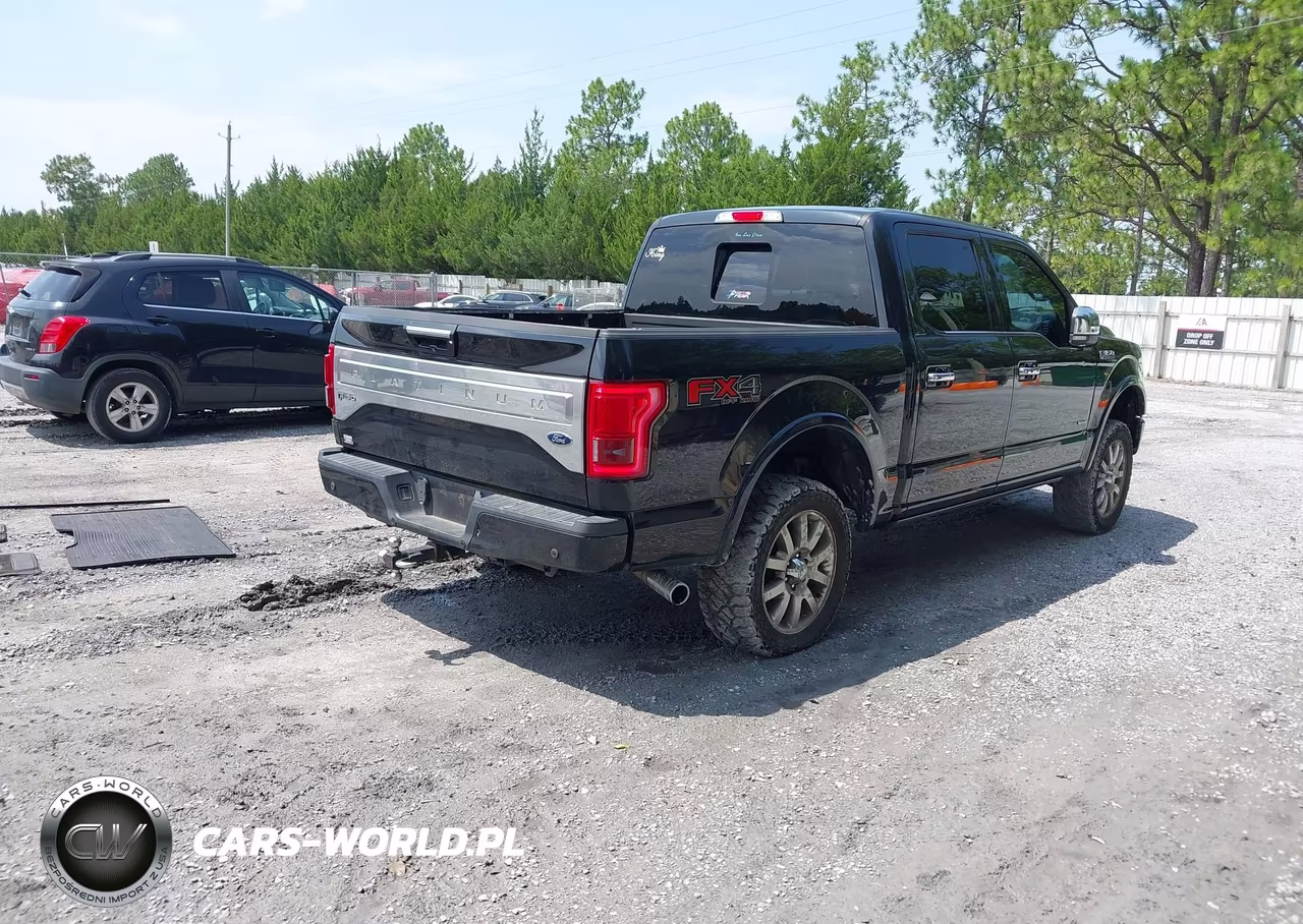 2015 Ford F-150 Platinum VIN:1FTEW1EG5FFA47983 - 4