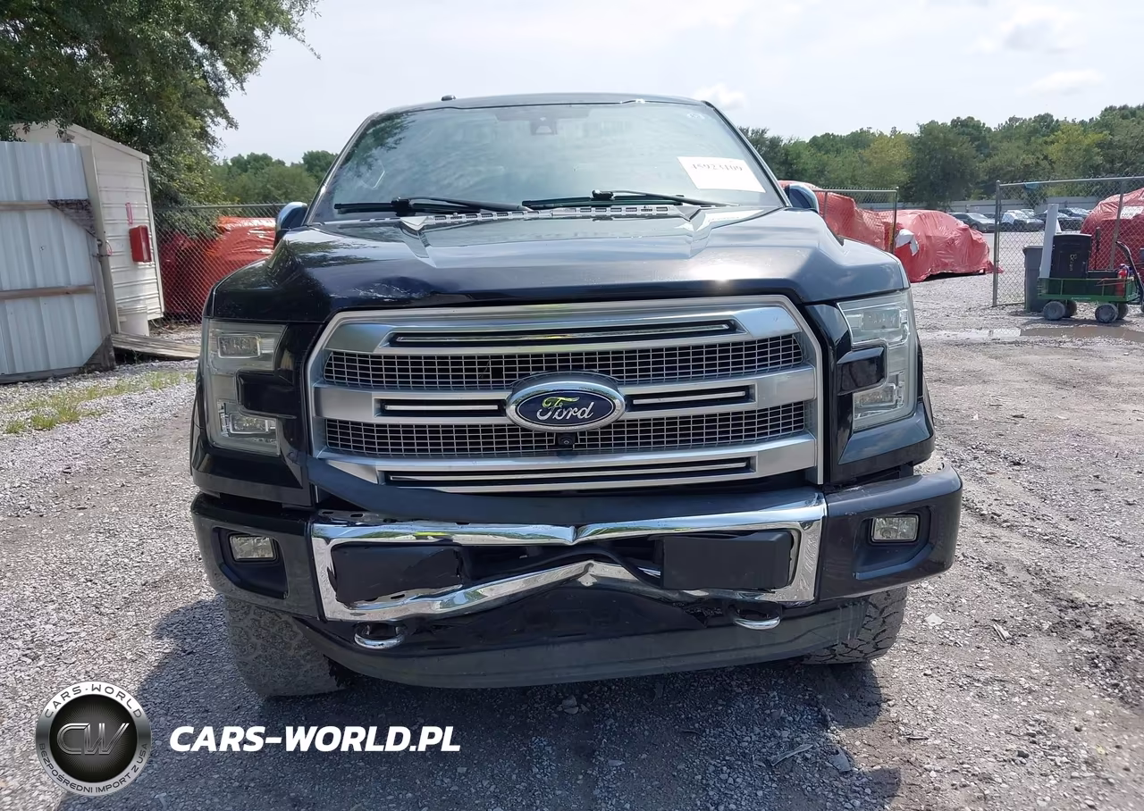 2015 Ford F-150 Platinum VIN:1FTEW1EG5FFA47983 - 6
