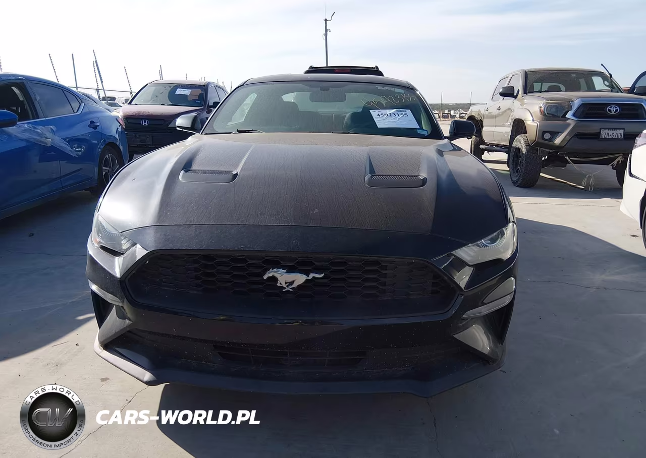 2018 Ford Mustang Ecoboost VIN:1FA6P8TH2J5176144 - 12