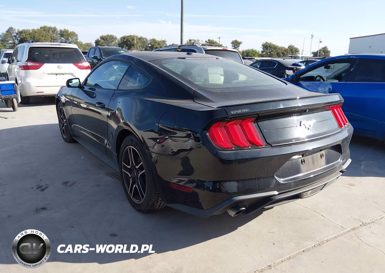 2018 Ford Mustang Ecoboost VIN:1FA6P8TH2J5176144 - 3