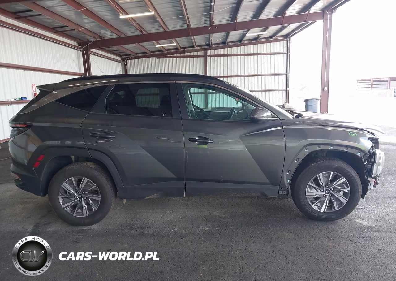 2022 Hyundai Tucson Hybrid Blue VIN:KM8JBCA10NU076921 - 13