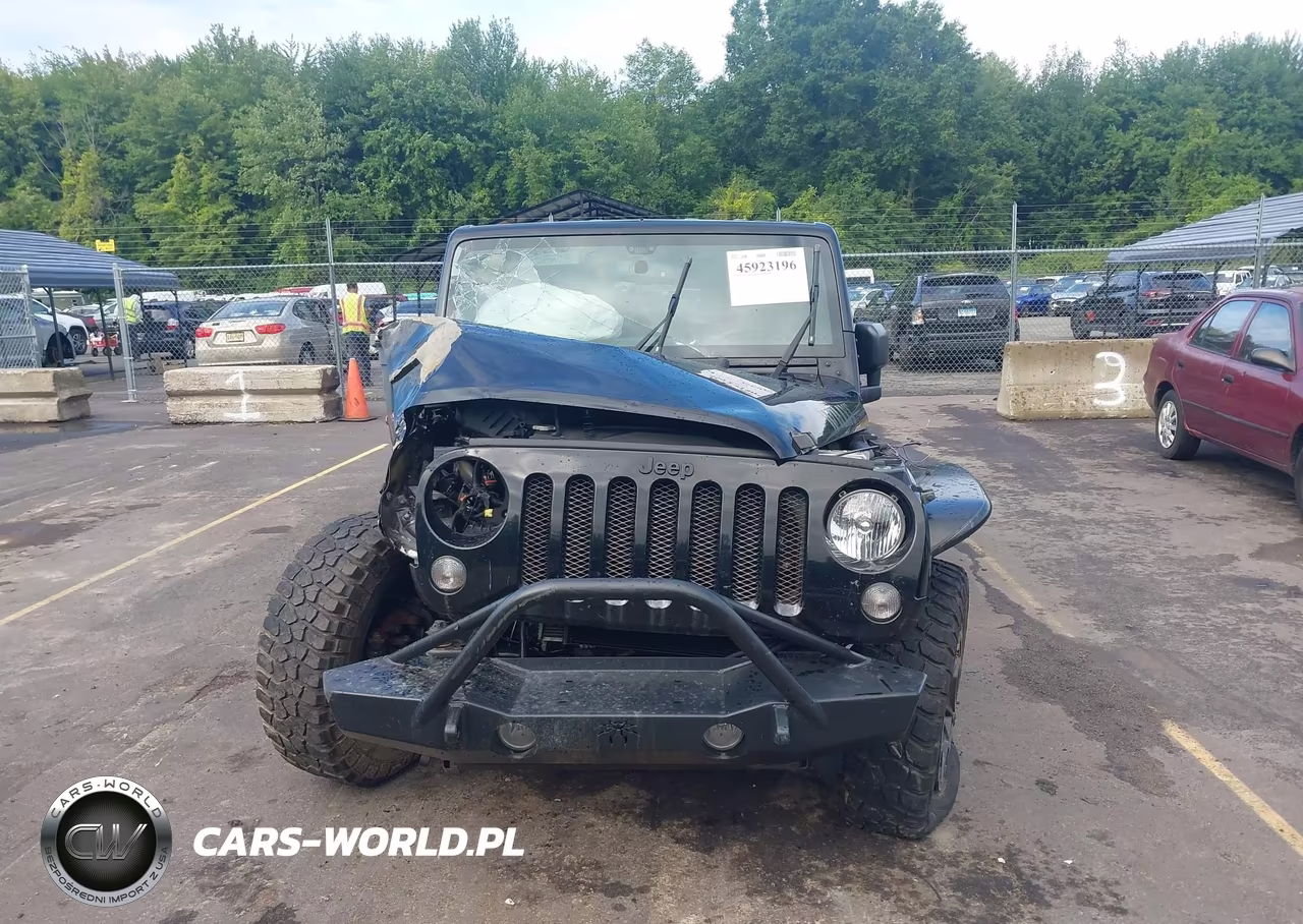 2016 Jeep Wrangler Unlimited Willys Wheeler VIN:1C4HJWDG6GL345407 - 12