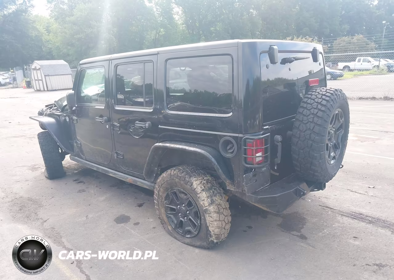 2016 Jeep Wrangler Unlimited Willys Wheeler VIN:1C4HJWDG6GL345407 - 3