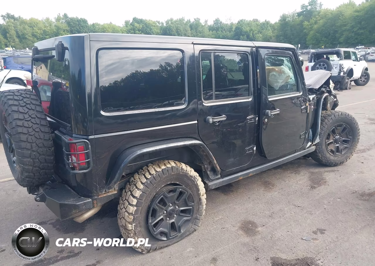 2016 Jeep Wrangler Unlimited Willys Wheeler VIN:1C4HJWDG6GL345407 - 4