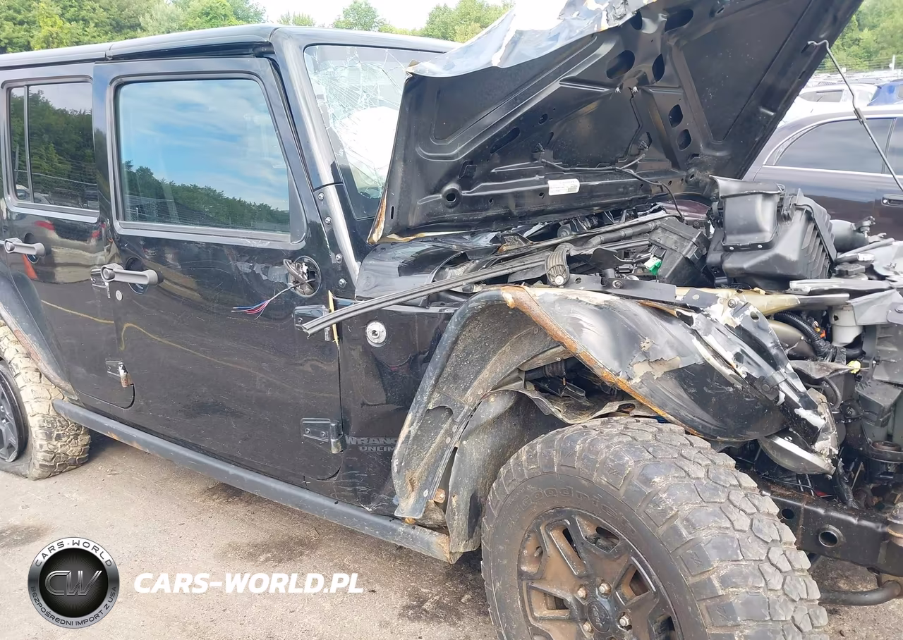 2016 Jeep Wrangler Unlimited Willys Wheeler VIN:1C4HJWDG6GL345407 - 6