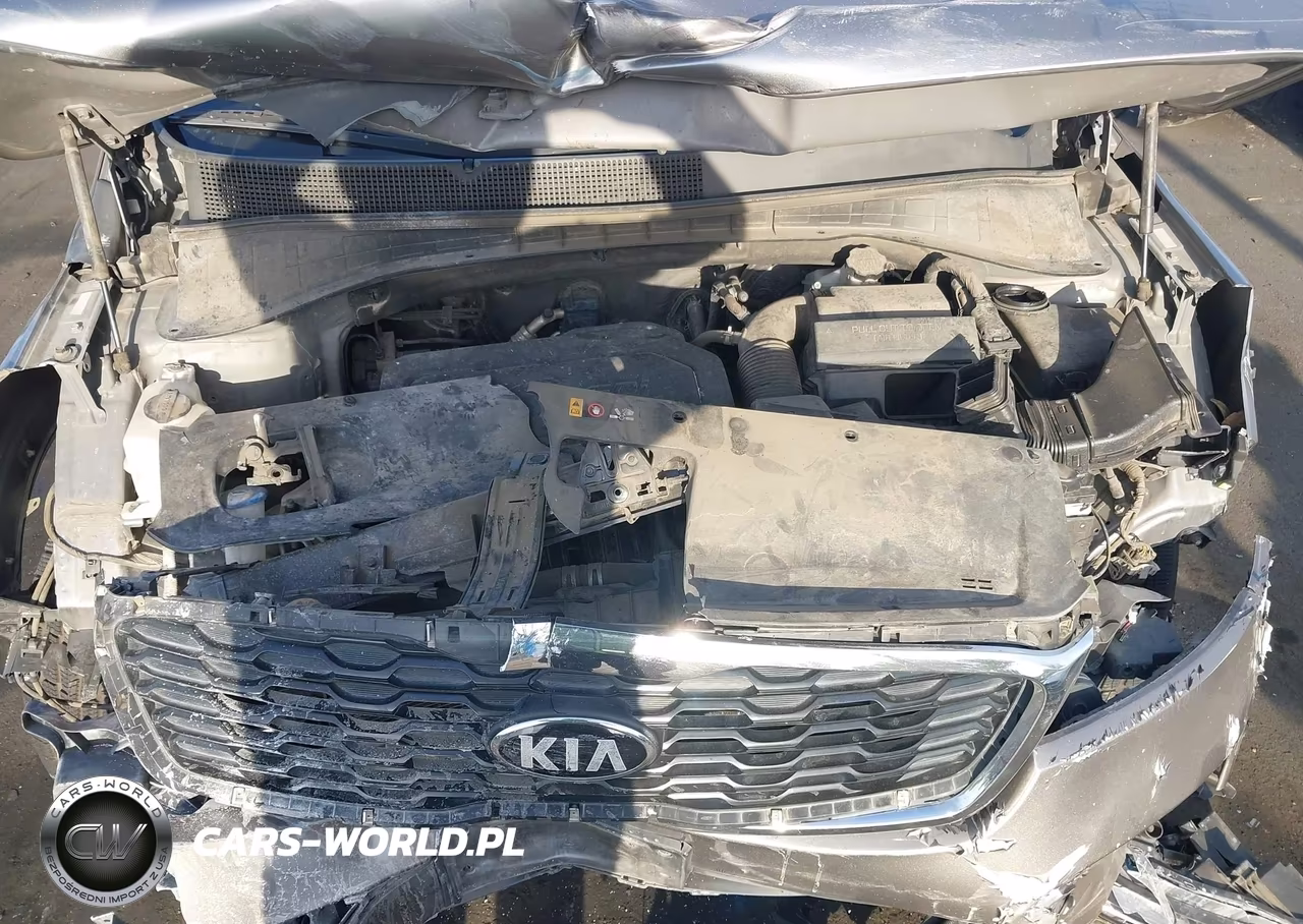 2019 Kia Sorento 2.4L Lx VIN:5XYPG4A32KG532339 - 10