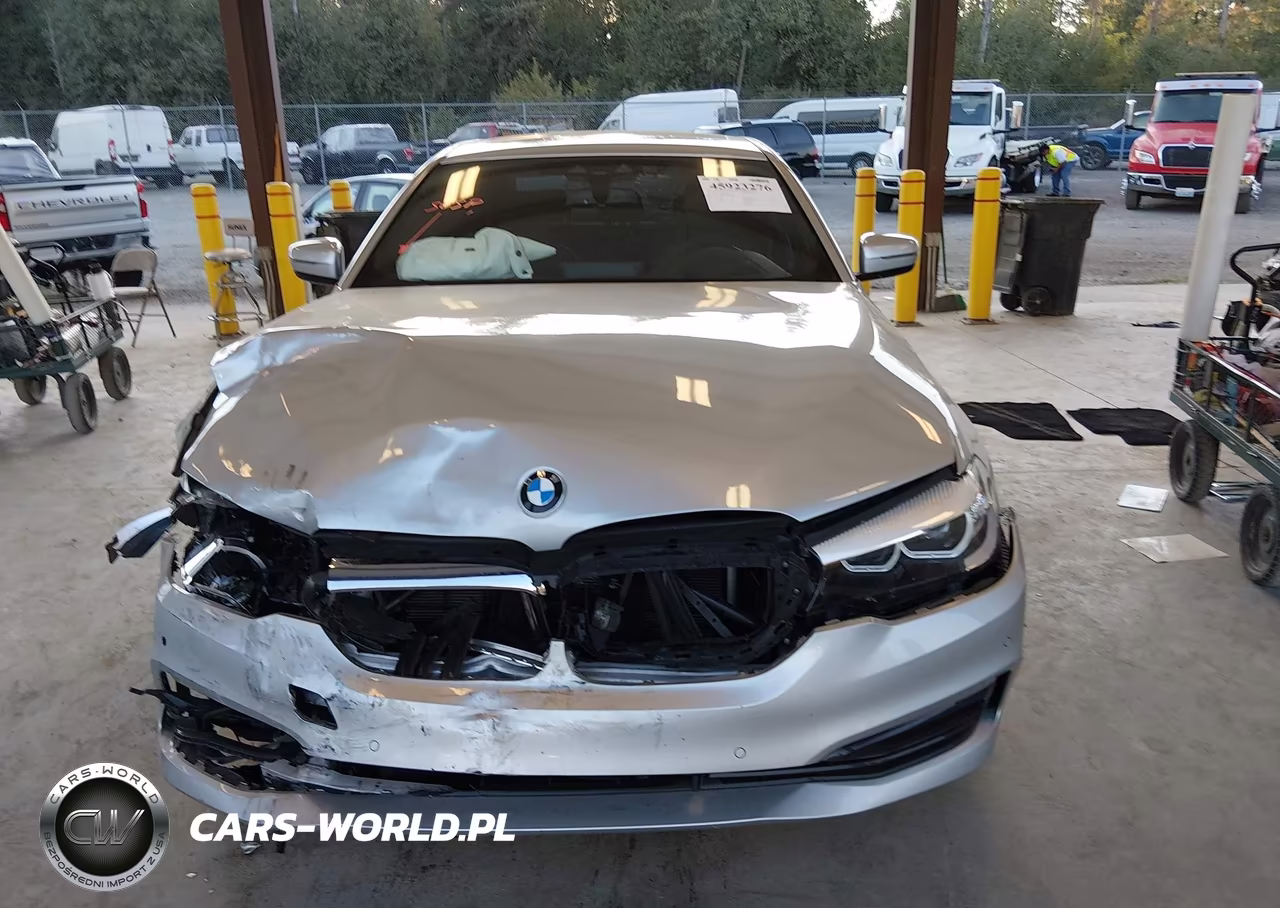 2019 BMW 5 Series 530I xDrive VIN:WBAJA7C53KWW48768 - 12