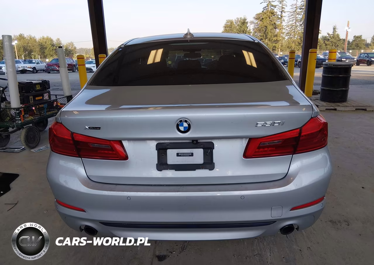 2019 BMW 5 Series 530I xDrive VIN:WBAJA7C53KWW48768 - 16