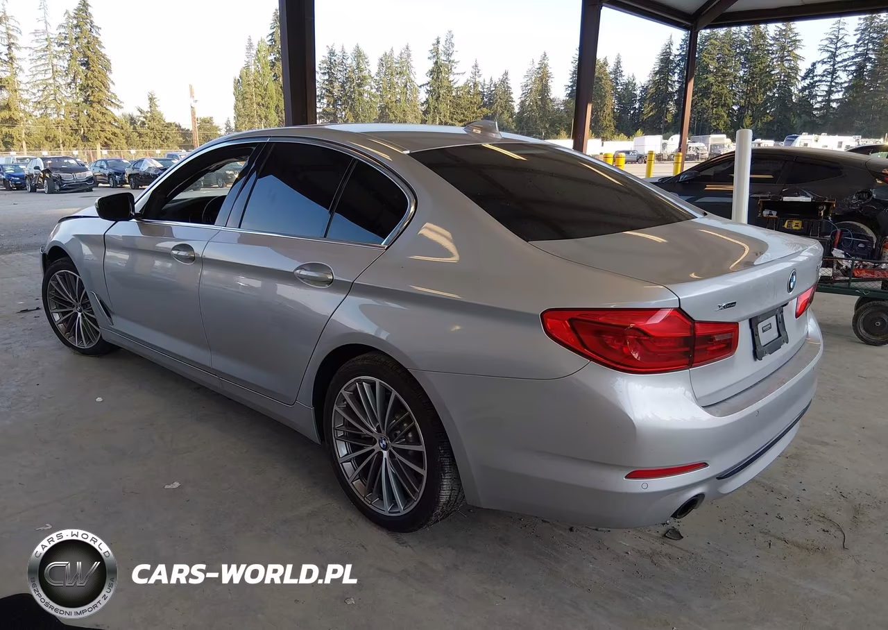 2019 BMW 5 Series 530I xDrive VIN:WBAJA7C53KWW48768 - 3