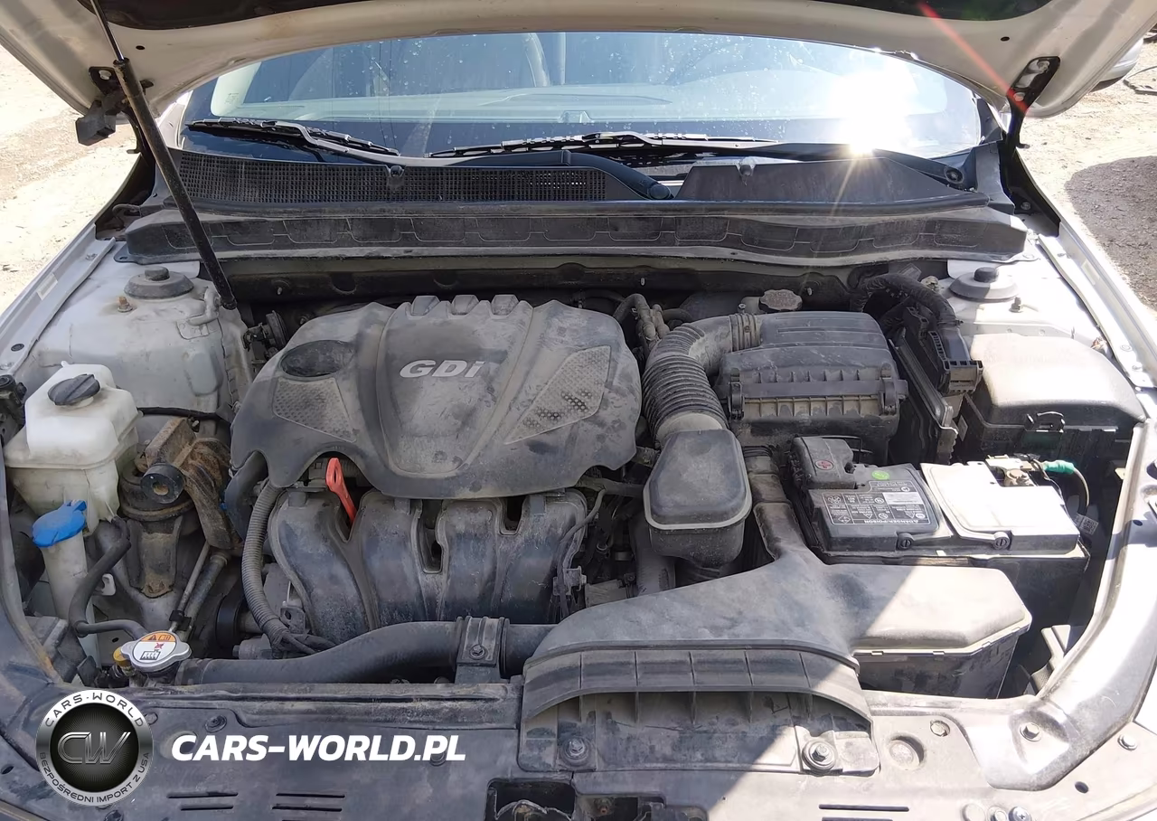2014 Kia Optima Ex VIN:5XXGN4A74EG339448 - 10