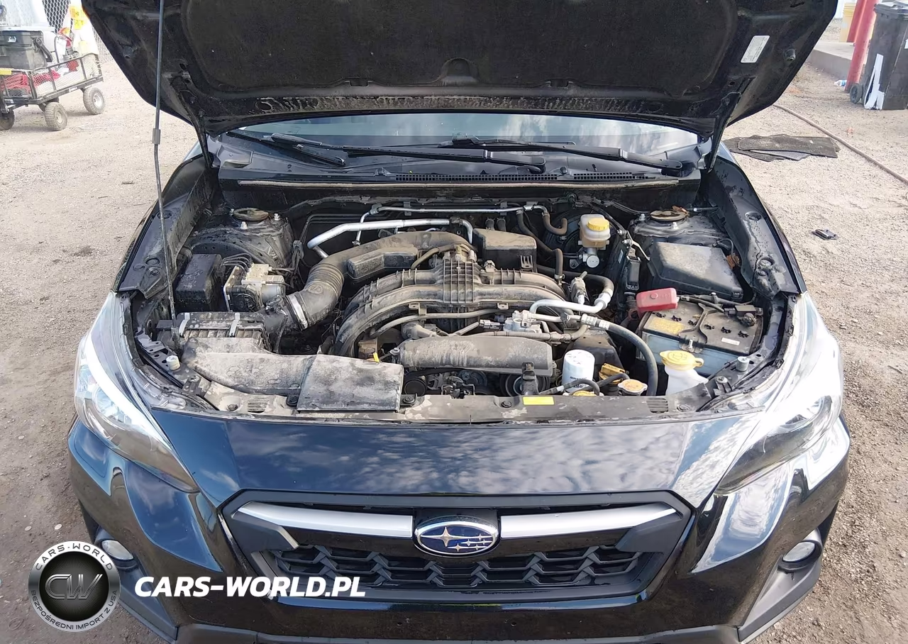 2020 Subaru Crosstrek Premium VIN:JF2GTAECXL8250514 - 10