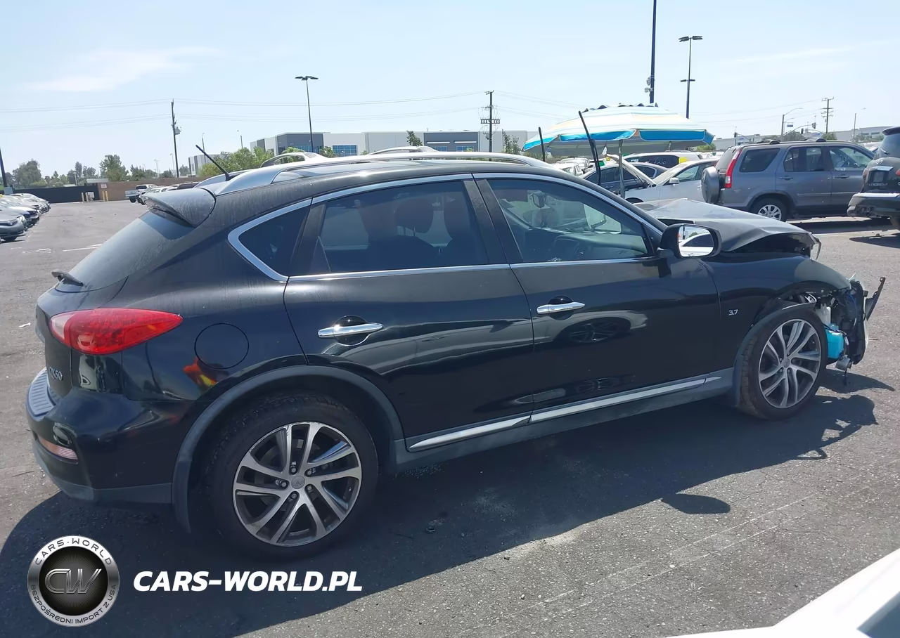2016 Infiniti Qx50 VIN:JN1BJ0RP8GM235371 - 12