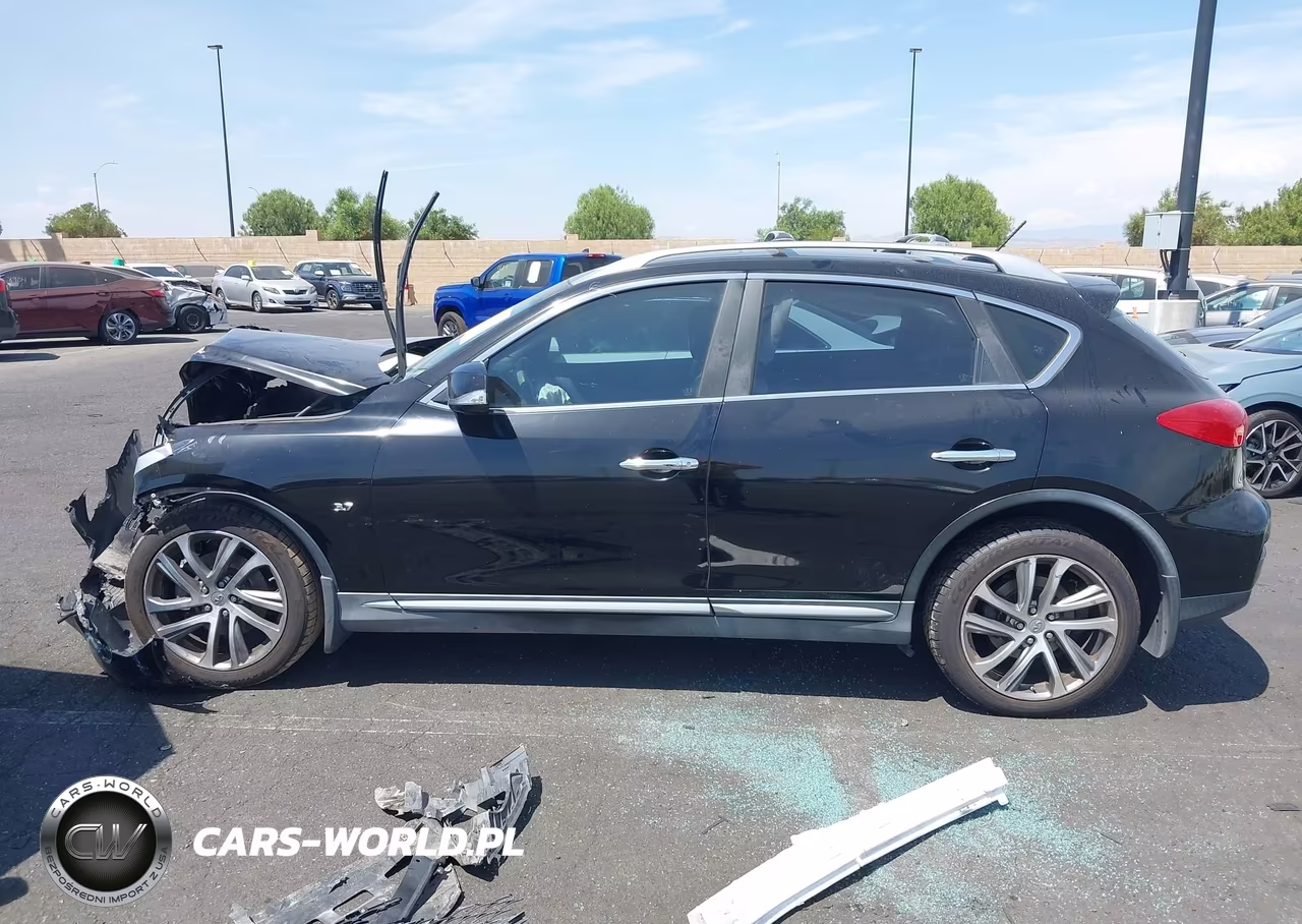2016 Infiniti Qx50 VIN:JN1BJ0RP8GM235371 - 13