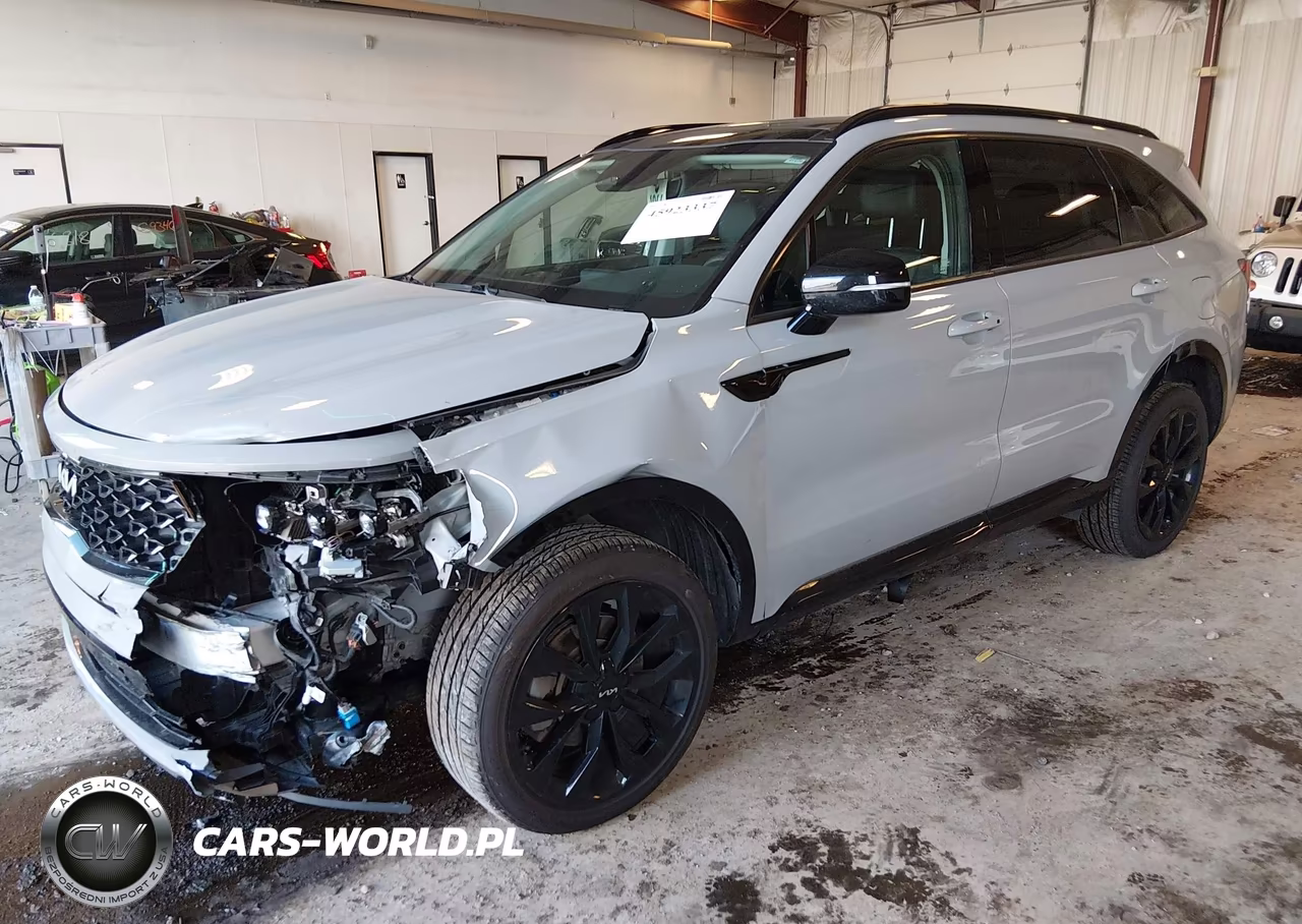 2022 Kia Sorento Sx VIN:5XYRKDLFXNG140891 - 2