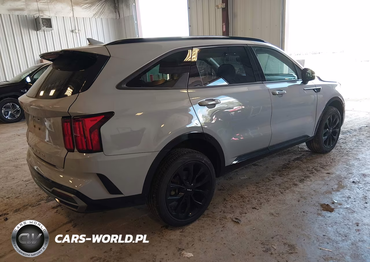 2022 Kia Sorento Sx VIN:5XYRKDLFXNG140891 - 4