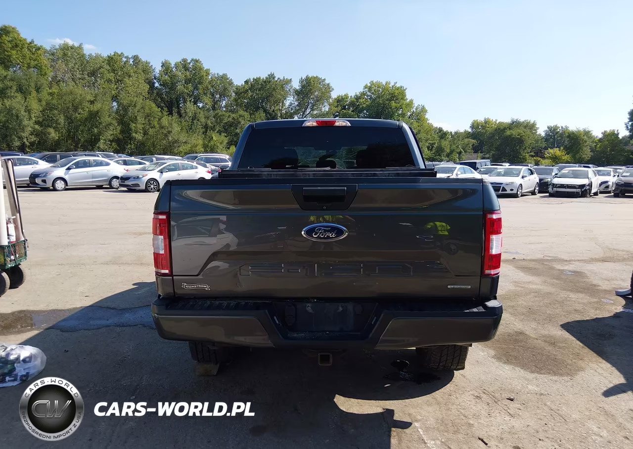 2019 Ford F-150 Xl VIN:1FTEW1EP4KFC24033 - 17