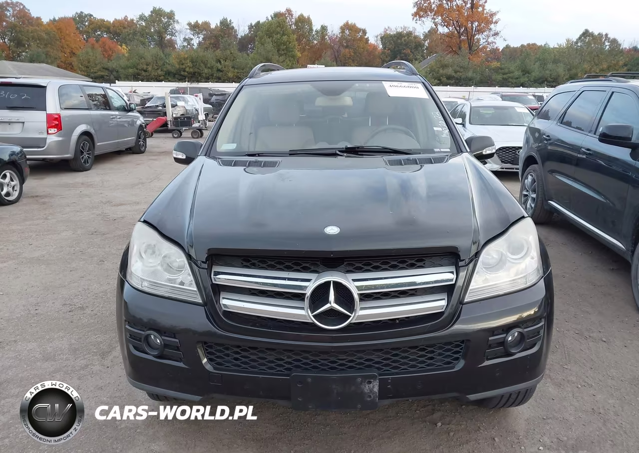 2008 Mercedes-Benz Gl 450 4Matic VIN:4JGBF71E98A359777 - 12