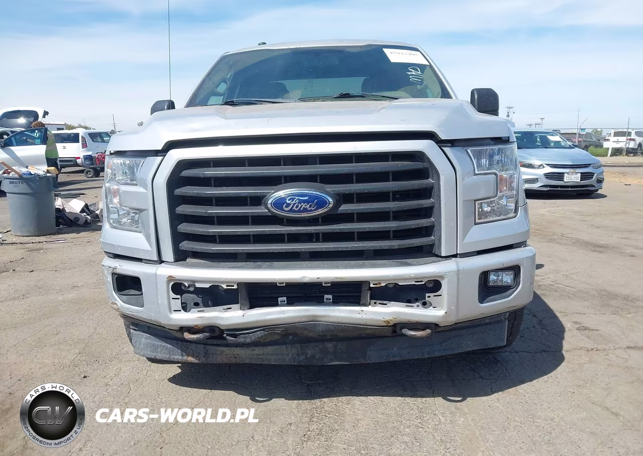 2017 Ford F-150 Xl VIN:1FTEX1EP7HKD73419 - 12