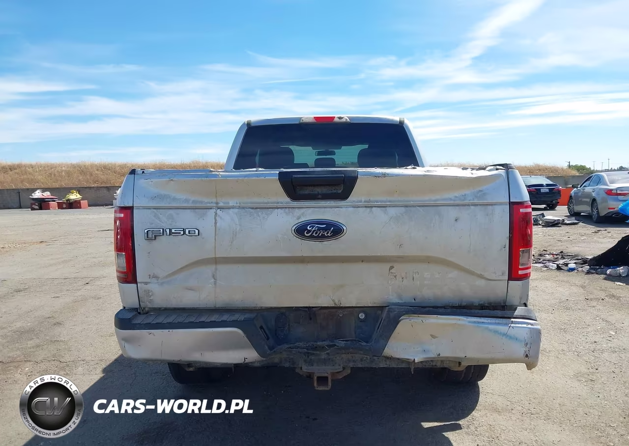 2017 Ford F-150 Xl VIN:1FTEX1EP7HKD73419 - 16
