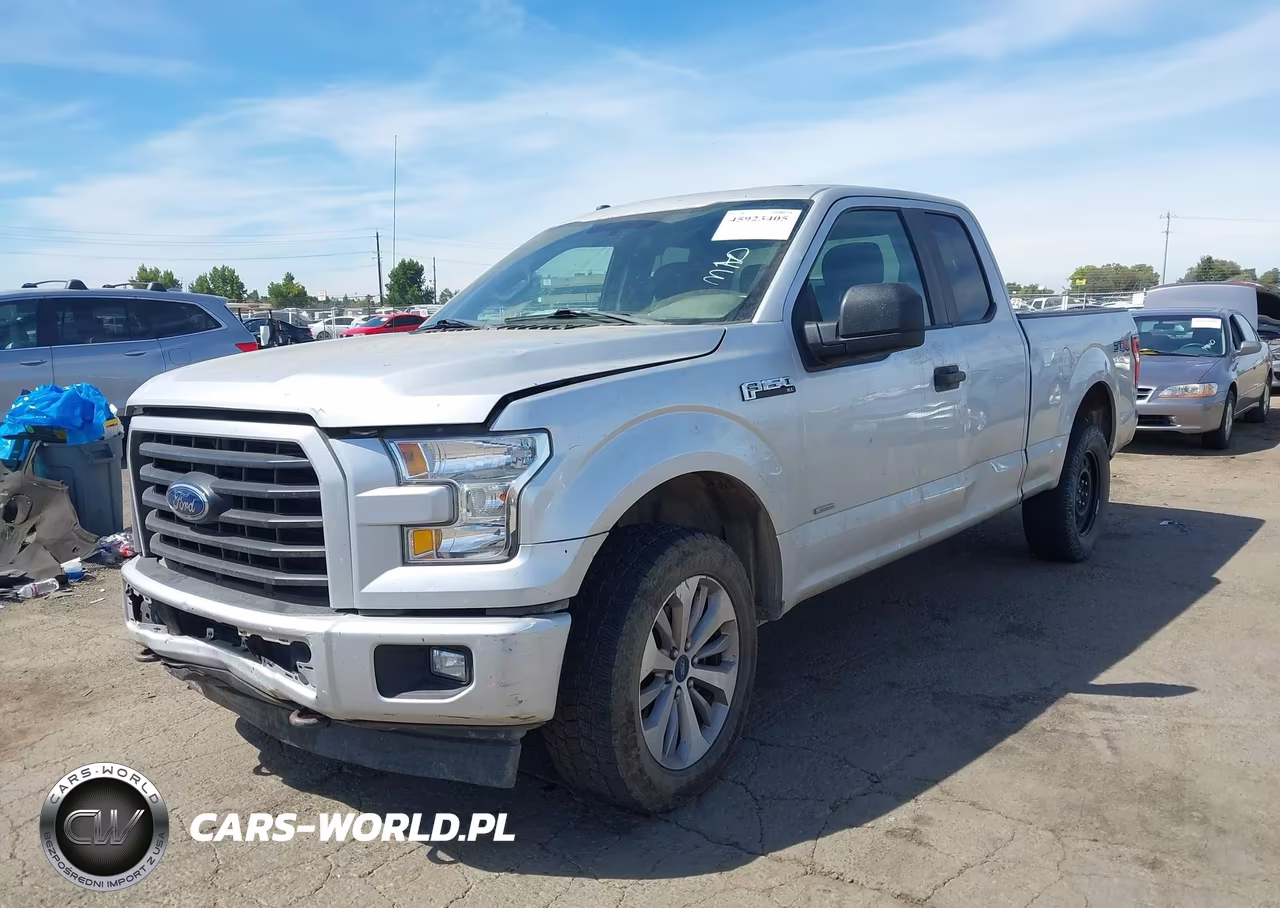 2017 Ford F-150 Xl VIN:1FTEX1EP7HKD73419 - 2