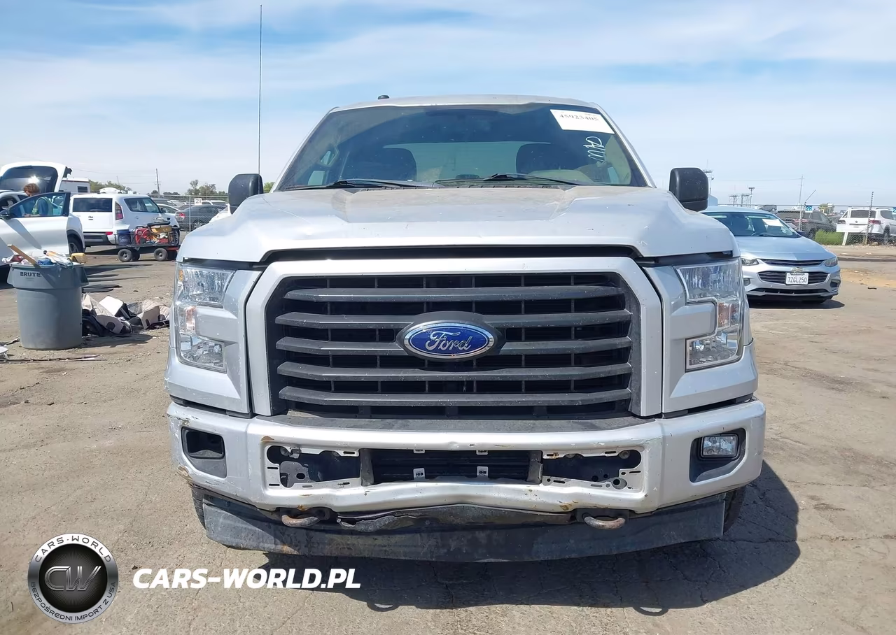 2017 Ford F-150 Xl VIN:1FTEX1EP7HKD73419 - 6