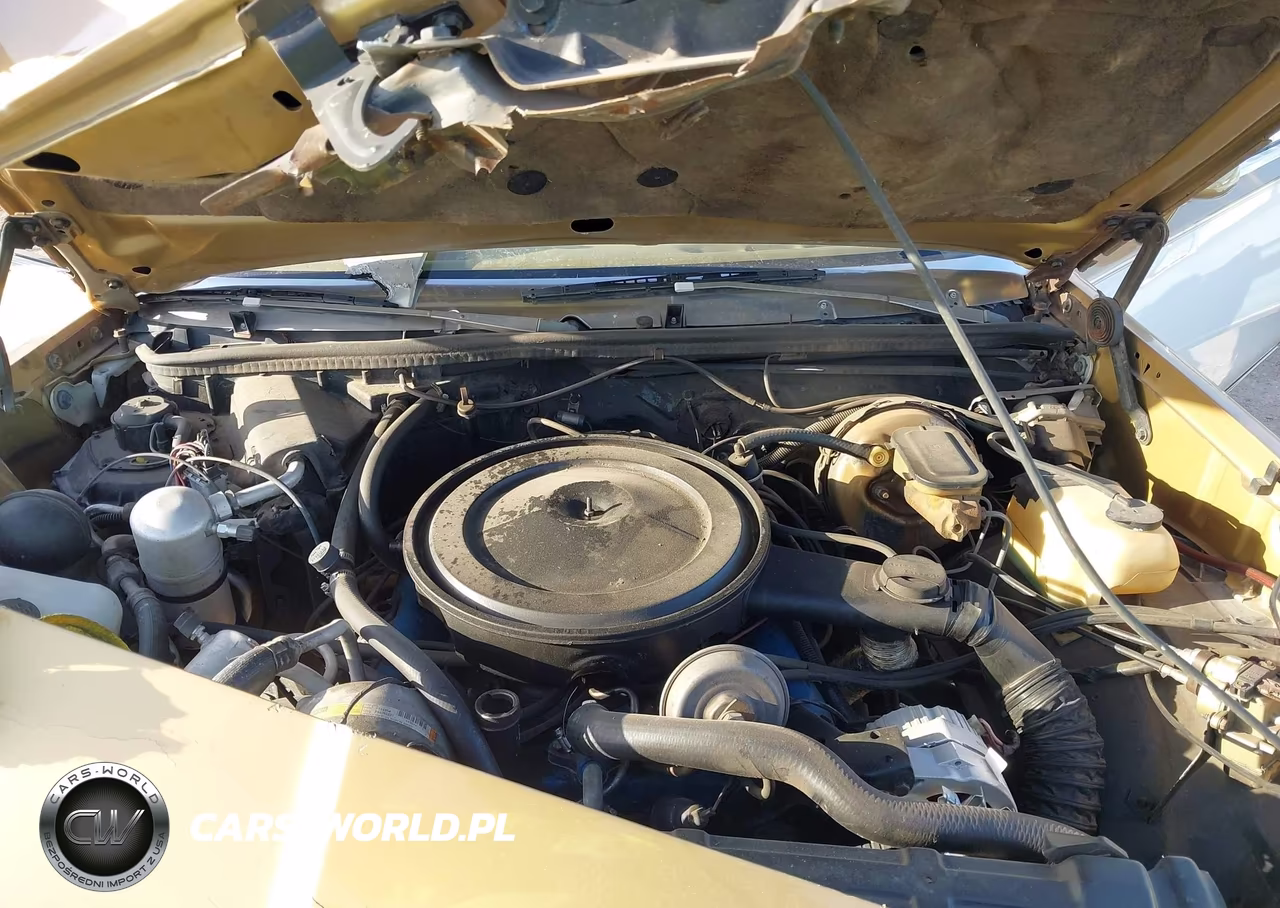 1979 Oldsmobile Cutlass Calais VIN:00003K47R9M569403 - 10