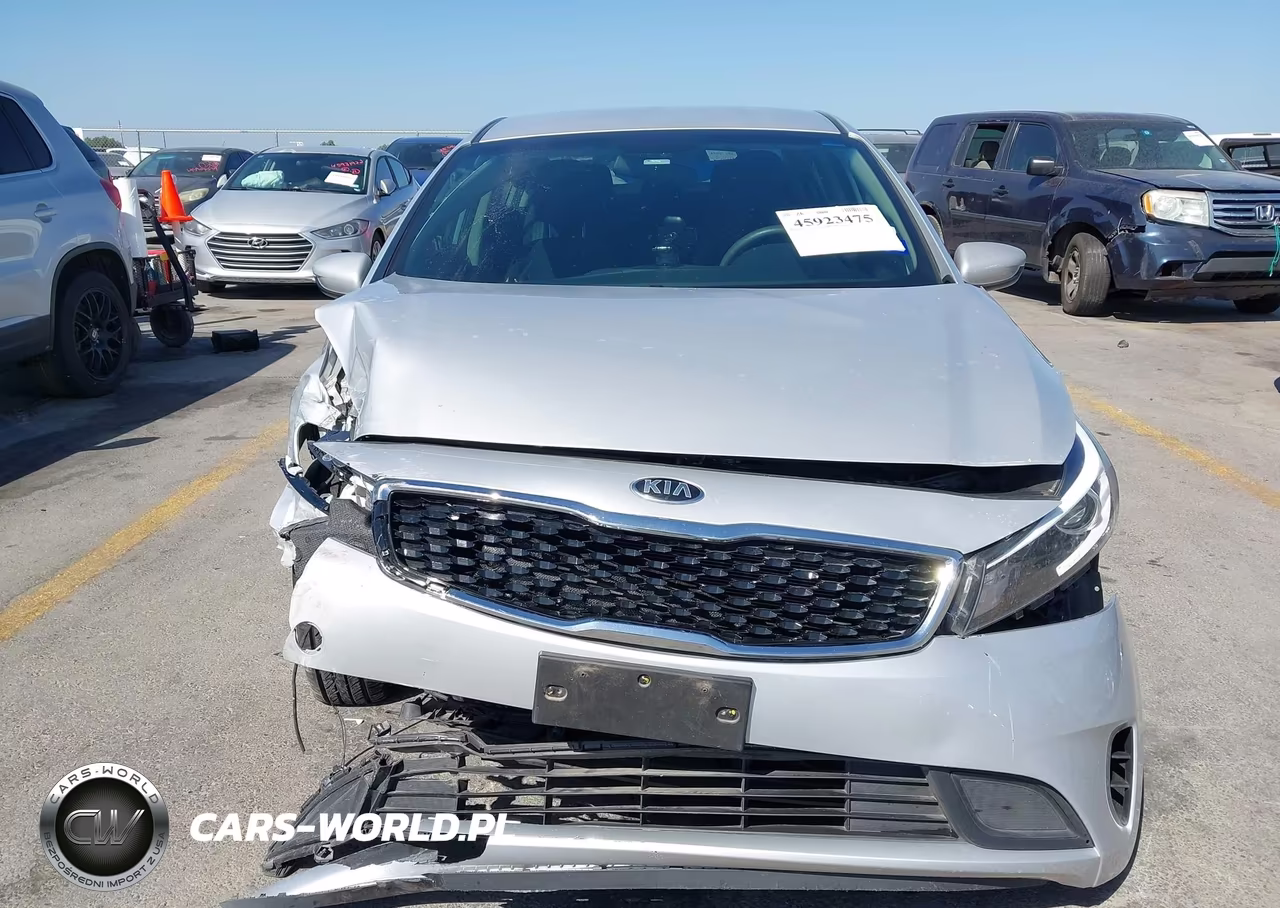 2017 Kia Forte Lx VIN:3KPFL4A7XHE131380 - 12
