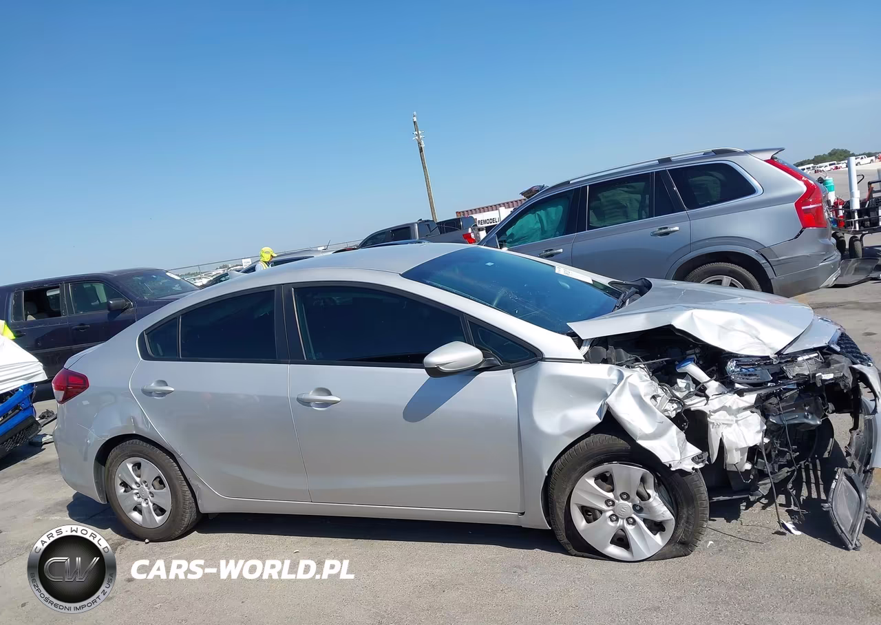 2017 Kia Forte Lx VIN:3KPFL4A7XHE131380 - 13