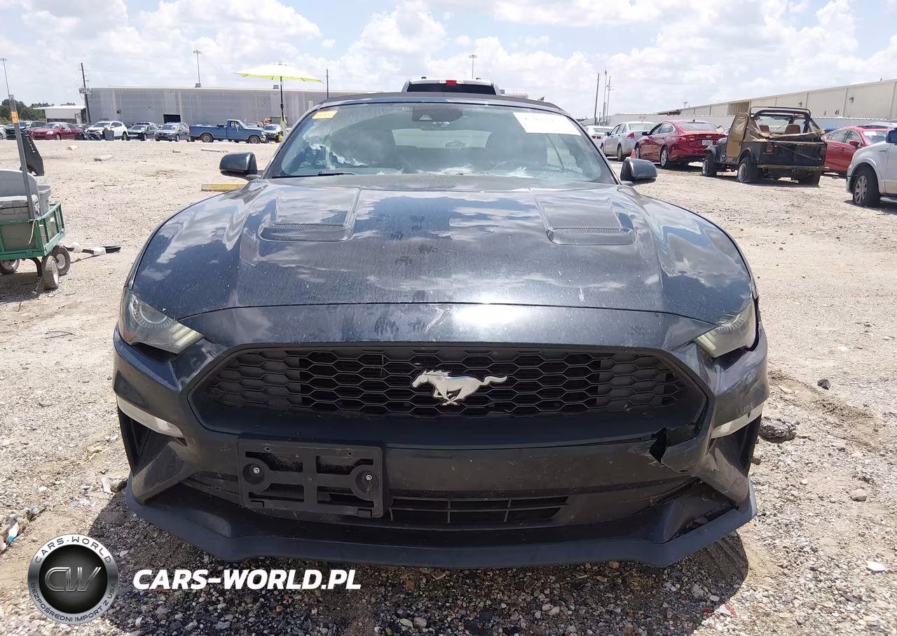 2018 Ford Mustang Ecoboost Premium VIN:1FATP8UH5J5184594 - 12