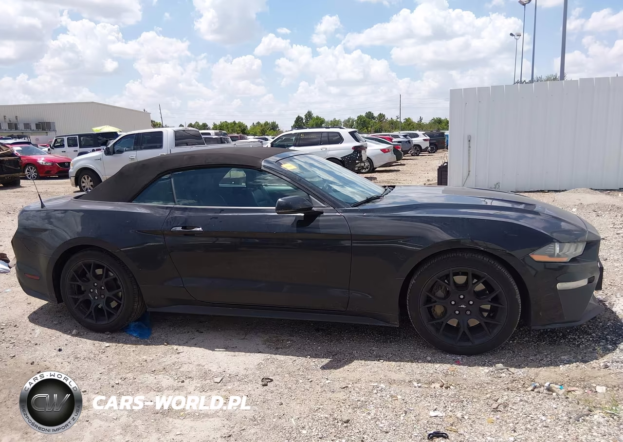 2018 Ford Mustang Ecoboost Premium VIN:1FATP8UH5J5184594 - 13