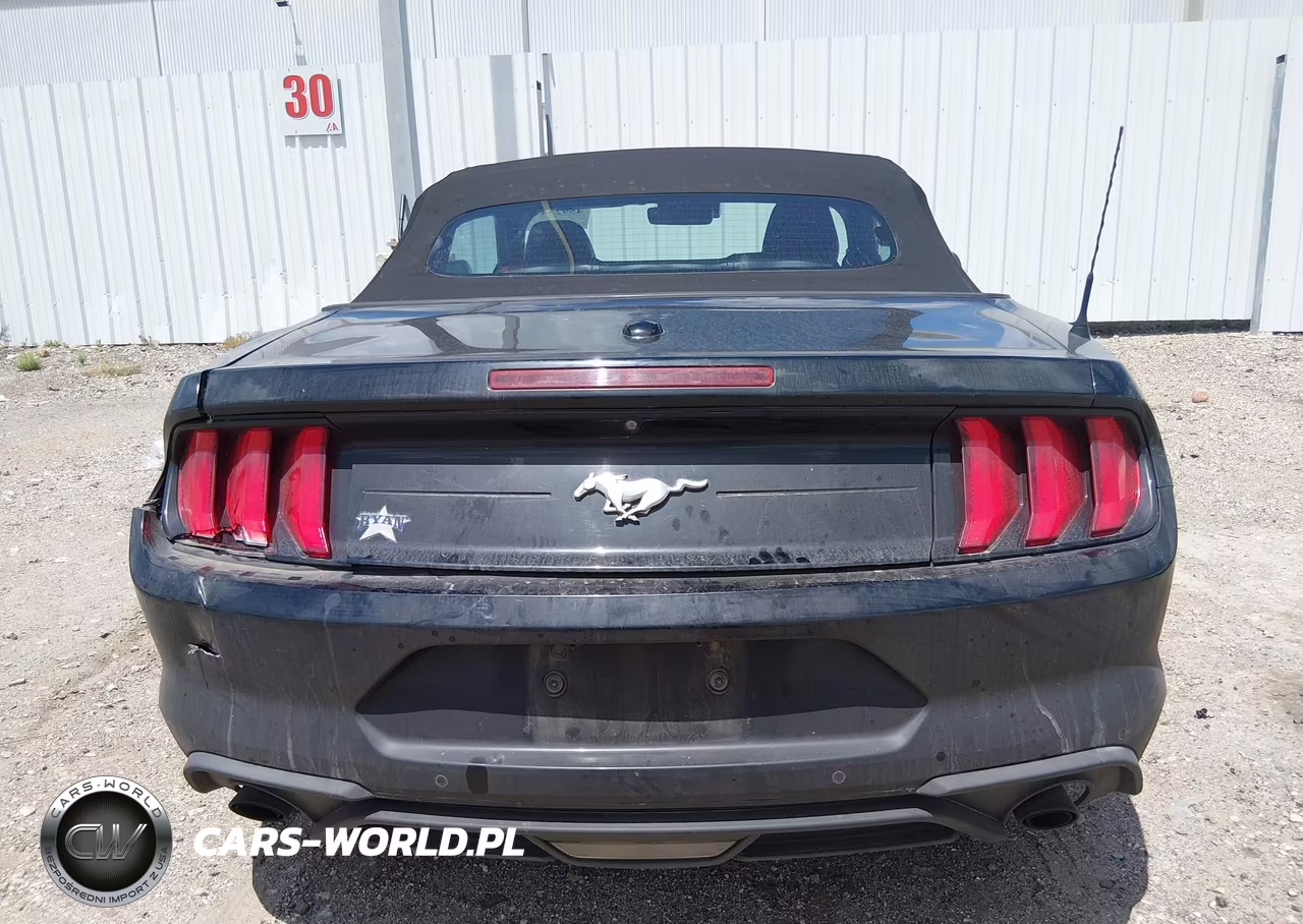 2018 Ford Mustang Ecoboost Premium VIN:1FATP8UH5J5184594 - 16