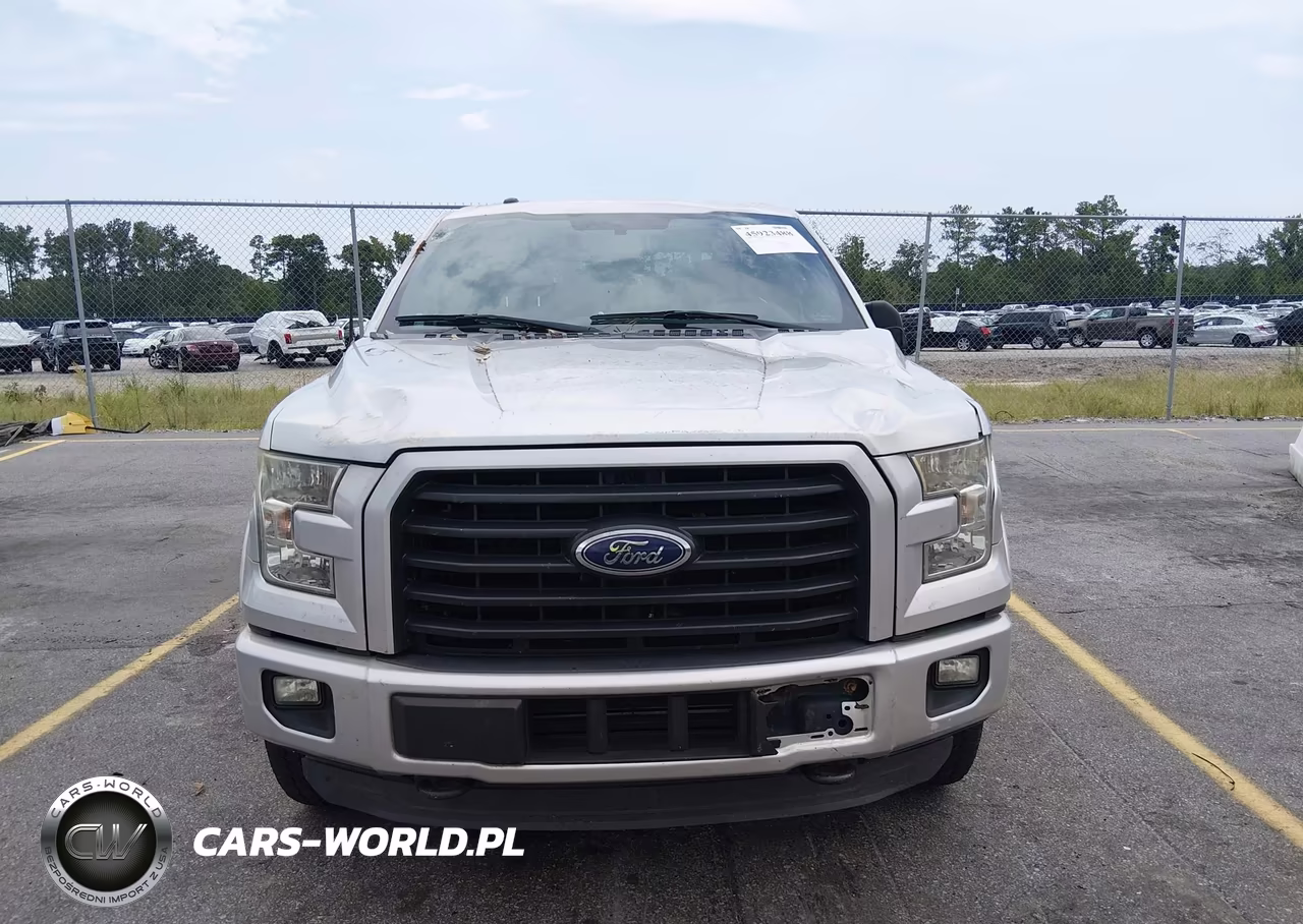 2015 Ford F-150 Xlt VIN:1FTEW1EP3FFB59083 - 12