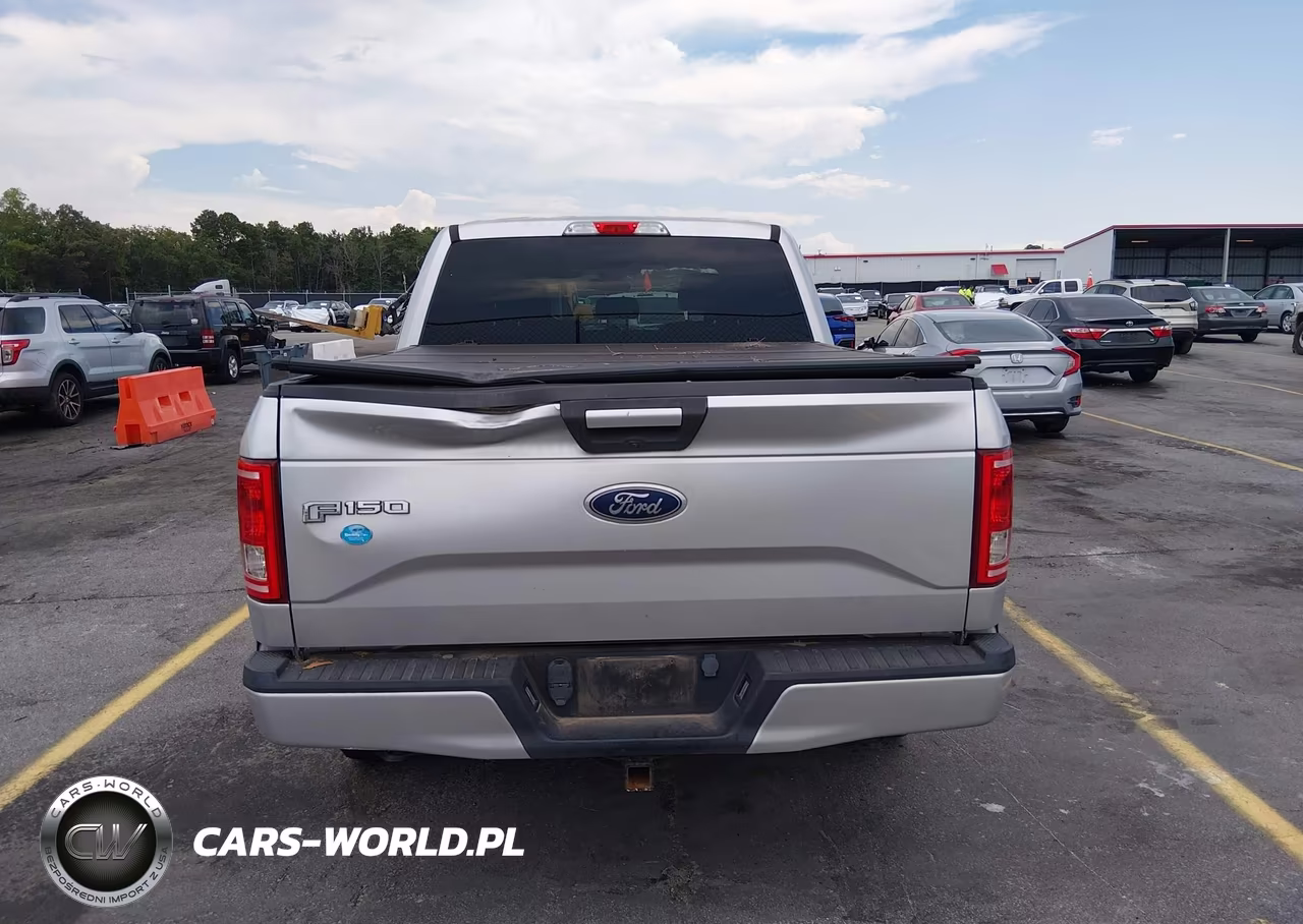 2015 Ford F-150 Xlt VIN:1FTEW1EP3FFB59083 - 16