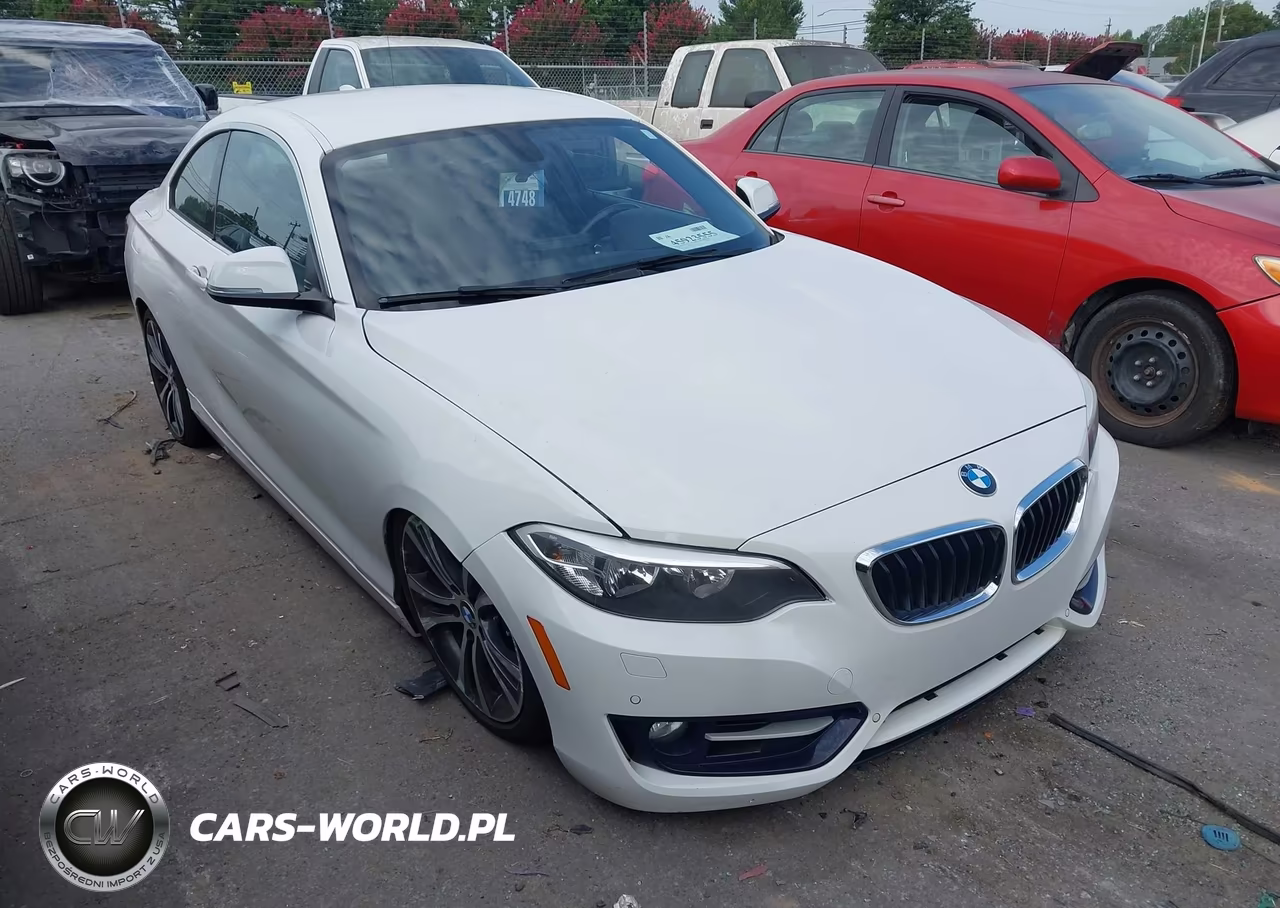 2016 BMW 228I