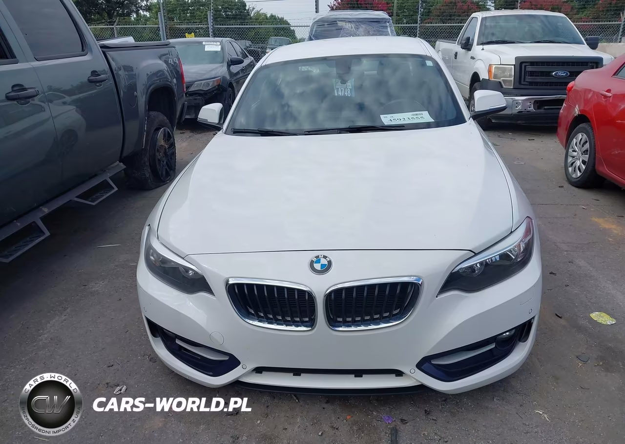 2016 BMW 228I VIN:WBA1F9C56GV742427 - 12