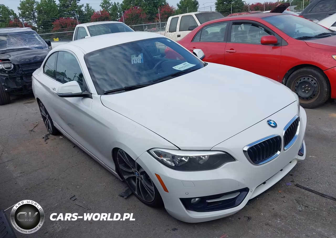 2016 BMW 228I VIN:WBA1F9C56GV742427 - 13