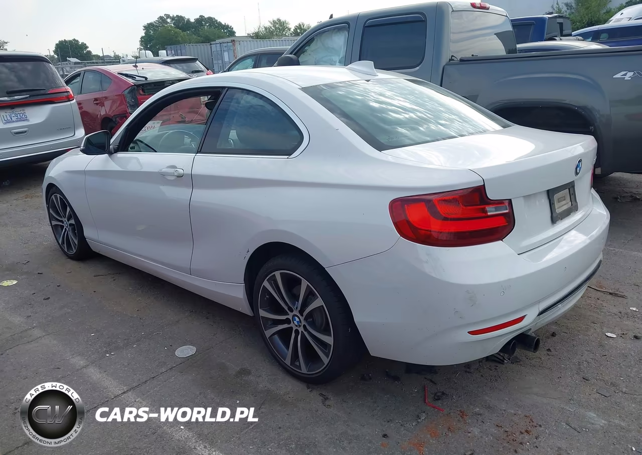 2016 BMW 228I VIN:WBA1F9C56GV742427 - 14