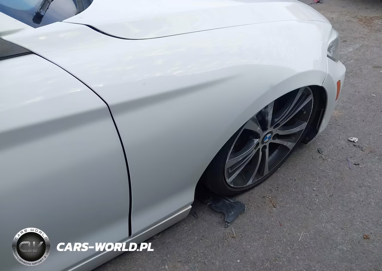 2016 BMW 228I VIN:WBA1F9C56GV742427 - 17