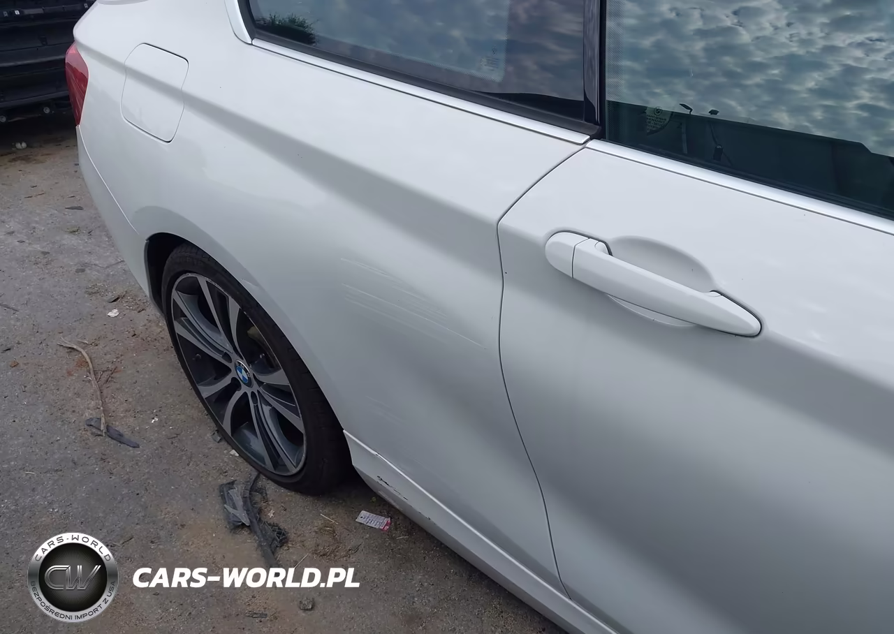 2016 BMW 228I VIN:WBA1F9C56GV742427 - 18