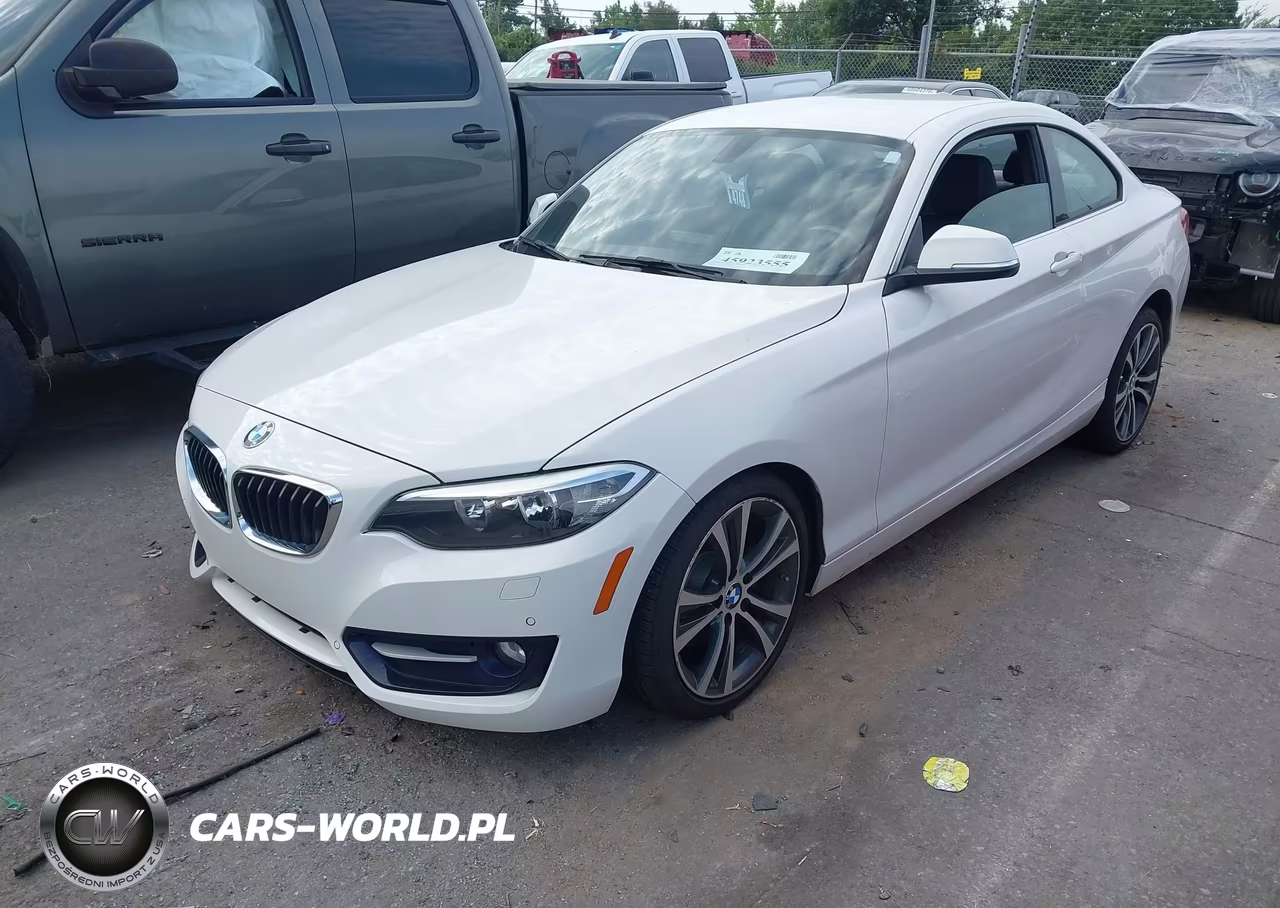 2016 BMW 228I VIN:WBA1F9C56GV742427 - 2